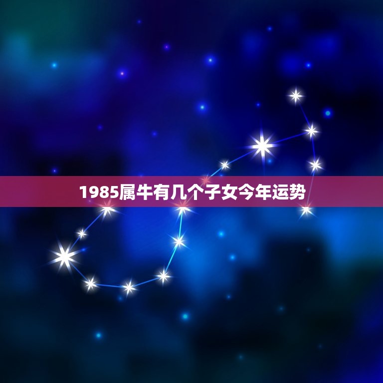 1985年属牛人2025年运势及运程