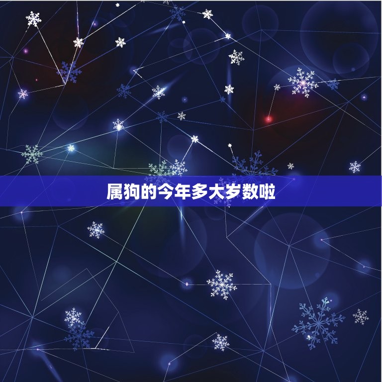 属狗的今年多大了？2024 年岁数对照表 (属狗的今年多大了2024)