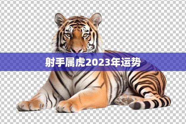 射手属虎2023年运势大展宏图财运亨通 7108