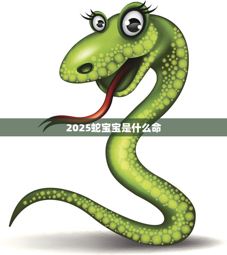 2025蛇宝宝是什么命(解析属蛇宝宝的性格特点和未来趋势)